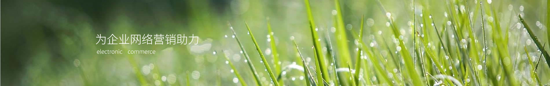 ϺȪʵҵ޹˾